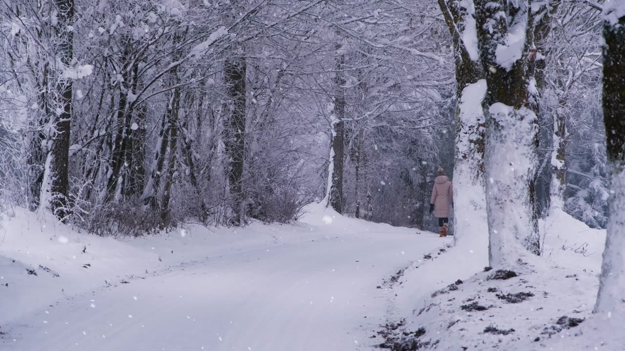 Taking a snowy walk