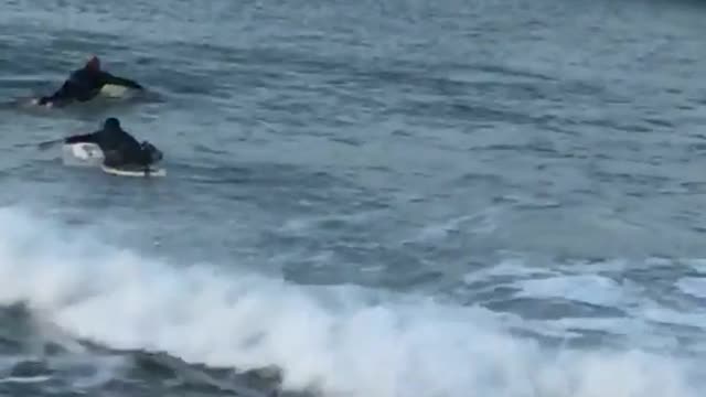 Full black wetsuit yellow surfboard slowly climbs into ocean