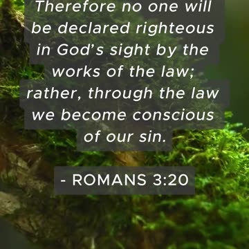 Bible Verse of the Day: September 20, 2024