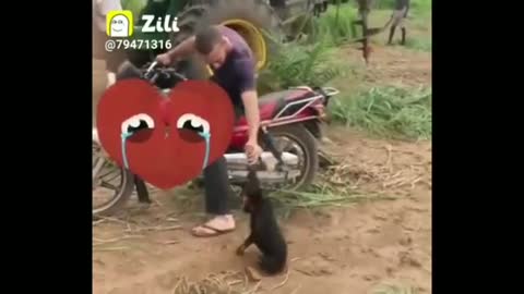 #funny i.funny monkey doing stupid things🤣