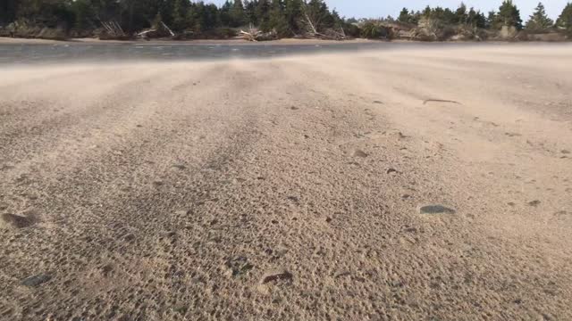 Winter Winds at the Beach