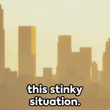 The Stinky Mystery of Albany: A Whiff of Humor