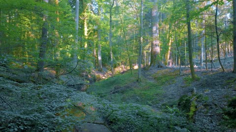 Rumpelbachschluch