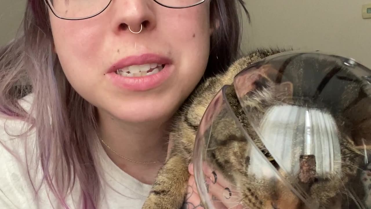 Helmet Helps With Clipping a Spicy Kitty’s Nails