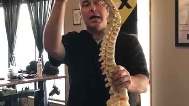 Chiropractic 101 - St. Paul Chiropractic & Natural Medicine Center
