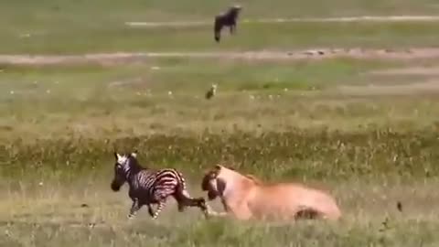 The true face of nature
