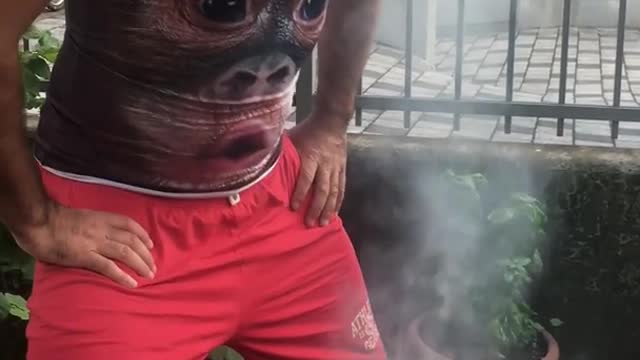 ManWearingMonkeyTankTopDoesFunnyTummyDanceOverBarbecueGrill