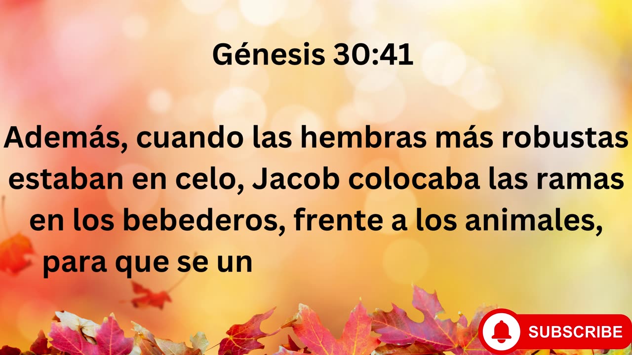 "Las Luchas de Raquel y Lea: Prosperidad y Promesas de Jacob" Génesis 30:1-43