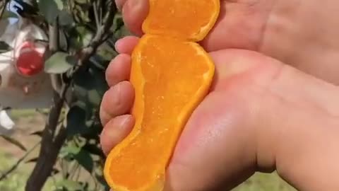 Fresh Farm fruit oddly satisfying for you