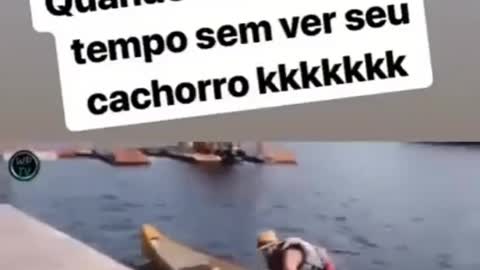 Quando você ficou muito tempo sem ver seu cachorro!