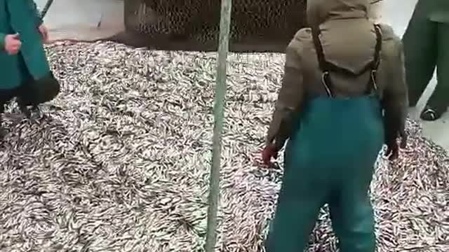 Killing small fishs