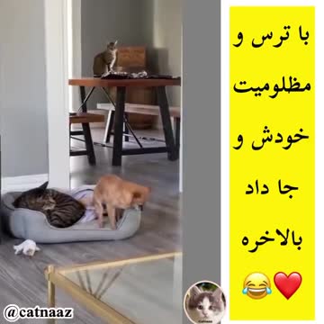 What she left with fear