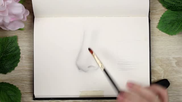 Tutorial how to draw a nose