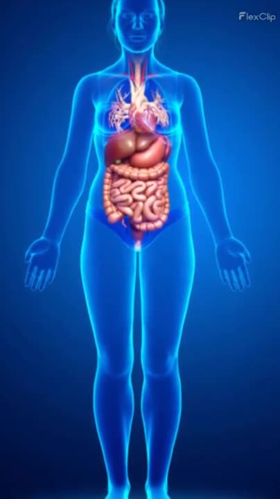 Many Benefits Of Bair