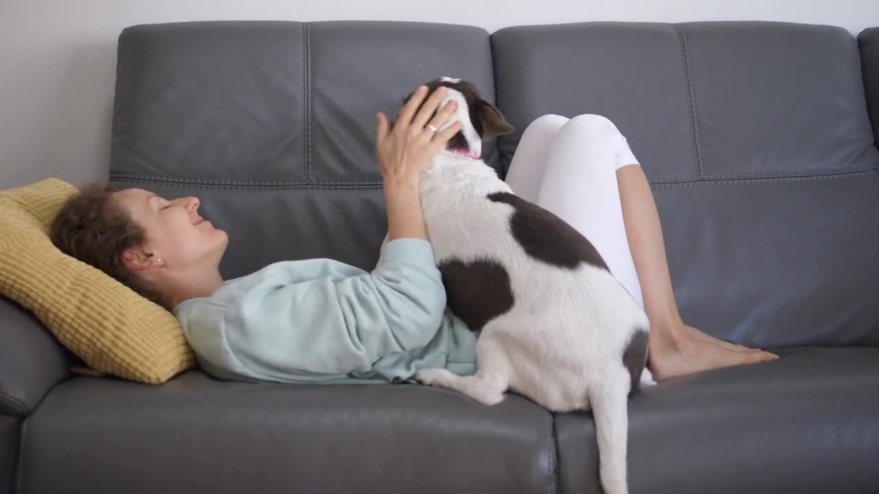 Young Happy Woman Lying With Her Dog At Home On Quarantine During Coronavirus Pandemic