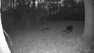 DogmanCams.com Vault1 Cam 12/01/2021 Evening Comparison Video