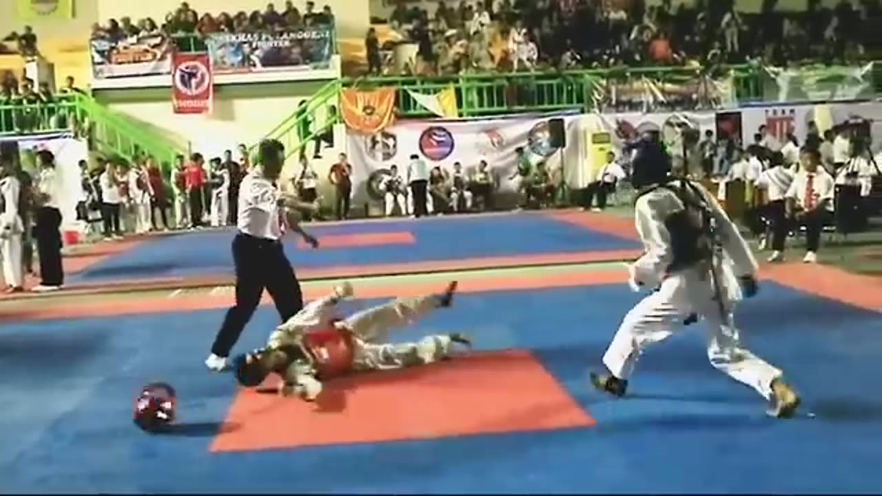 Taekwondo