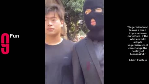 funny 2