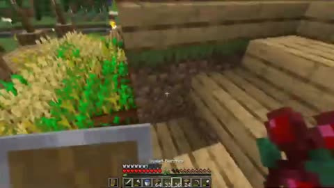 Minecraft Survival - Day 5