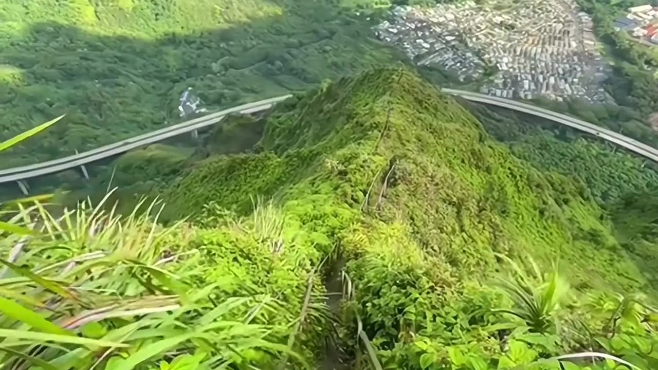 Amazing video🌹 beautiful village