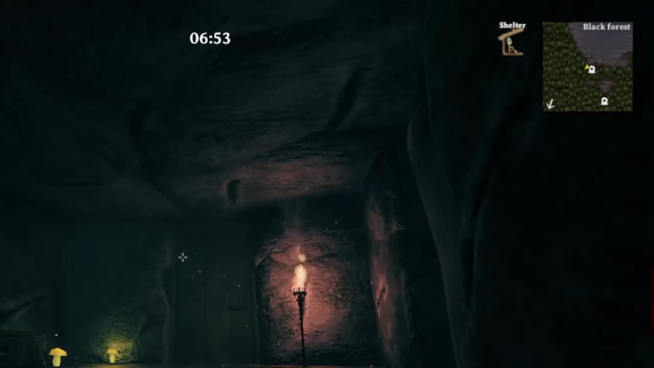 Valheim: The Forest Crypt