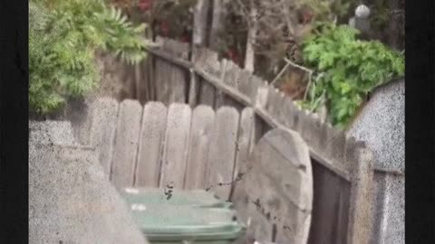 "I'm going to prank my dad"