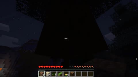 minecrafttiktokhacks_minecrafthacks_minecrafttiktok_shortsminecraft_1 (43)