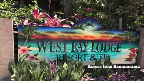 Celeste's Island Cuisine