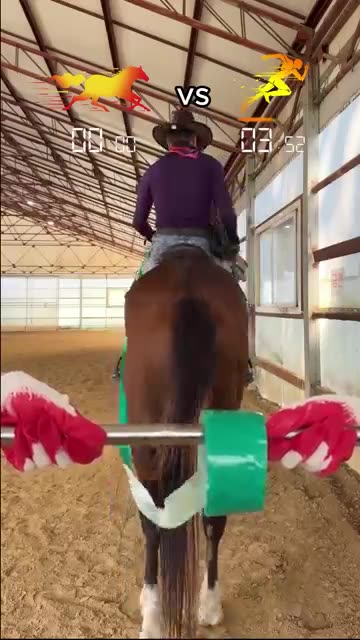 말 vs 인간 - 스피드 대결😲 승자는 누구🤔