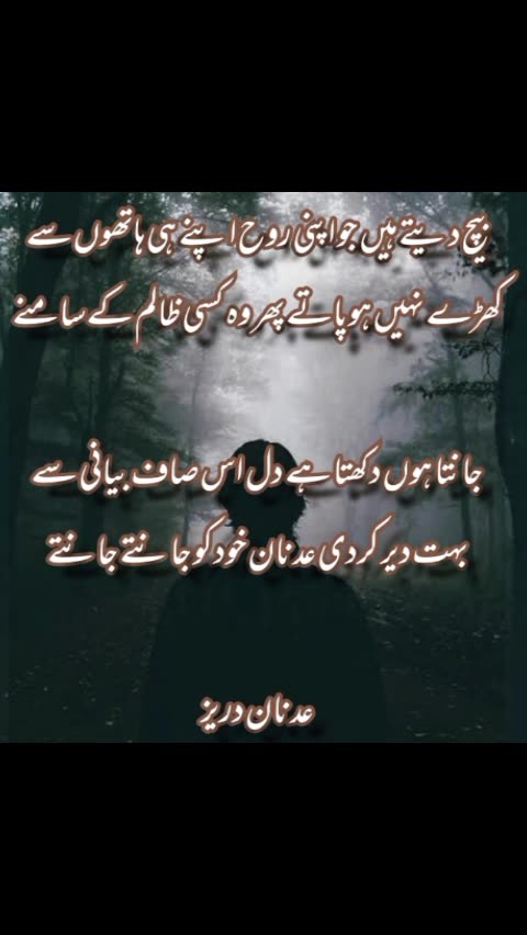 Adnan Durez ka Dewan