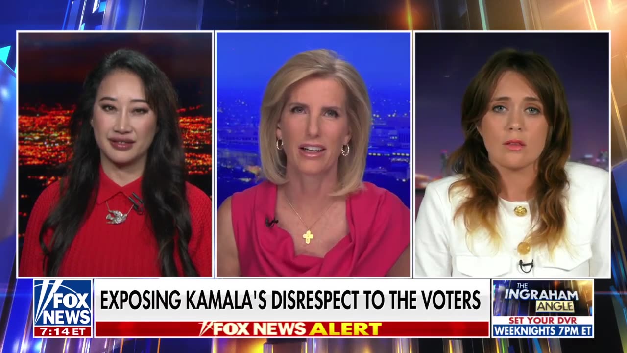 Oprah's interview with Kamala Harris felt 'extremely out-of-touch': Ex–Democratic fundraiser