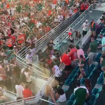 Falling cat saved with American flag at Miami football game
