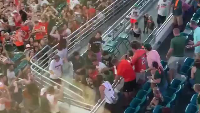 Falling cat saved with American flag at Miami football game