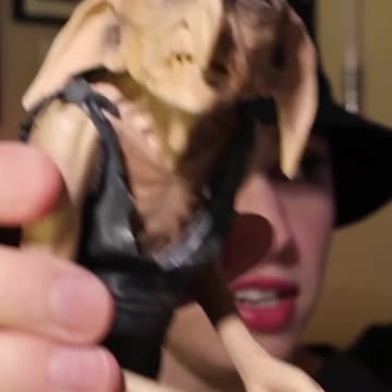 Come On Out, You Racist! #kreacher #harrypotter #houseelf #wizardingworld #magicalcreatures