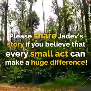 In 1978, Jadav Payeng began planting a tree every day for 37 years