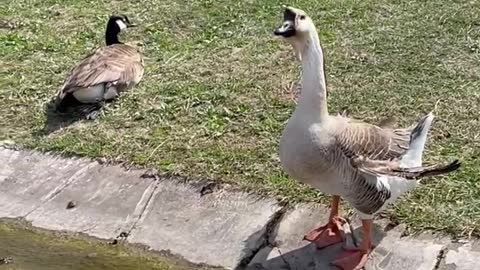 Come Let Us Worship! Acts 2:22-41 | Antioch Baptist Church