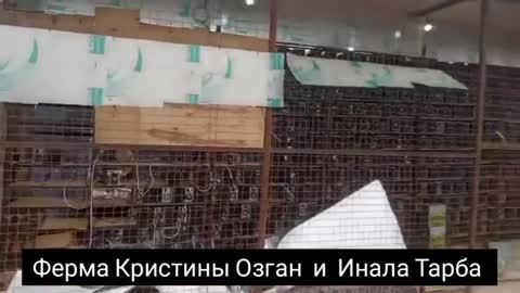 Майнинг ферма в Очамчири - 24.02.2021