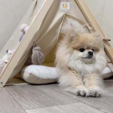 Good morning to all.