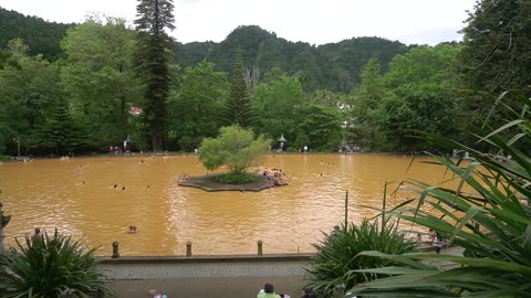 TRISH SCOTT LOVE FROM PORTUGAL TERRA NOSTRA THERMAL HEALING POOL