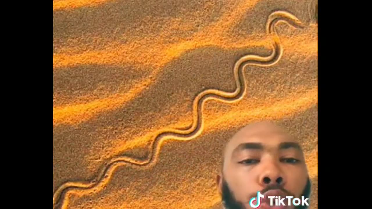 The truth about waking up