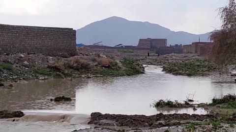 Heavy rain and floods kill dozens in Pakistan