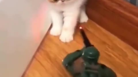 This Cat is Afraid of Plastic Soldier