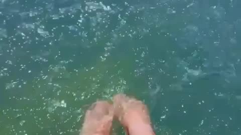 Natural view # viral videos # Nature