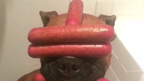 Dog sausage stacked on face