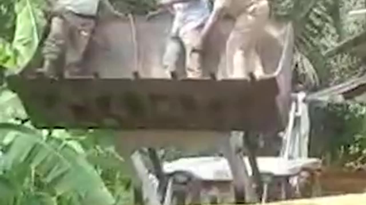 Dog_trapped_with_leopard_inside_toilet_in_Karnataka_for_at_least_7_hours