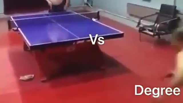 Experience vs degree