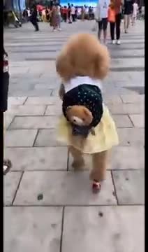 more_heavy_check_mark__heart_eyes__heart_ - shorts