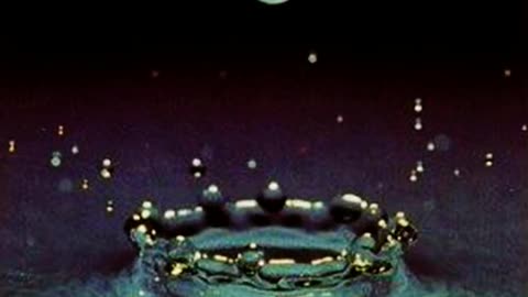 Mon-A-Q - Stay In Love