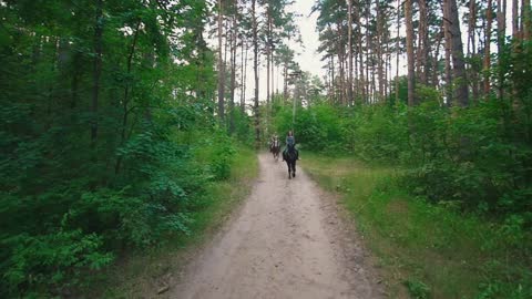 Female riders on horseback riding on the pathway through the forest