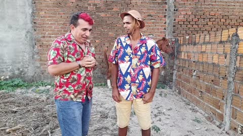 AMOR PELO CAVALO